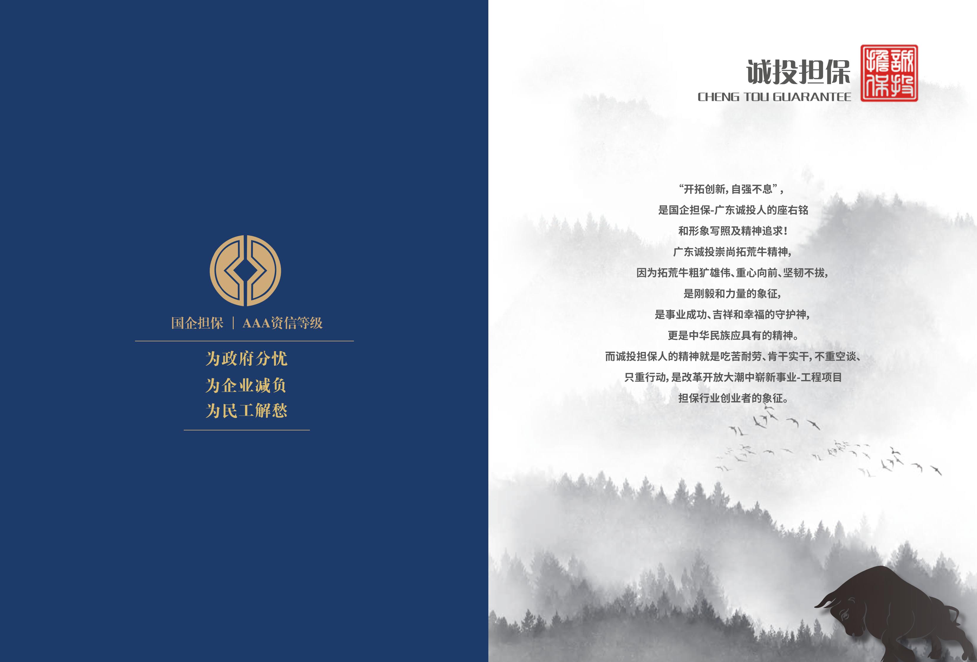 国企担保广东诚投企业简介_01.jpg